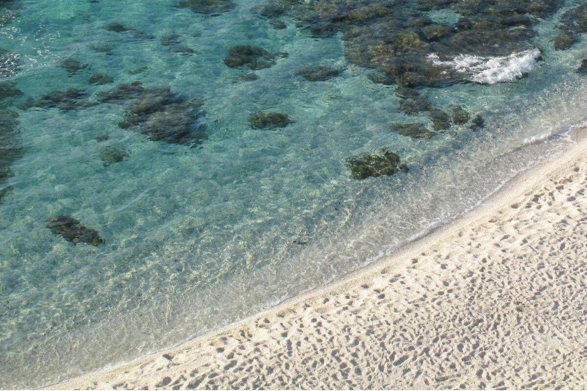 Niente ombrellone se hai tra 10 e 65 anni, il mondo guarda la Sardegna. E la regola divide turisti e ambientalisti - 
