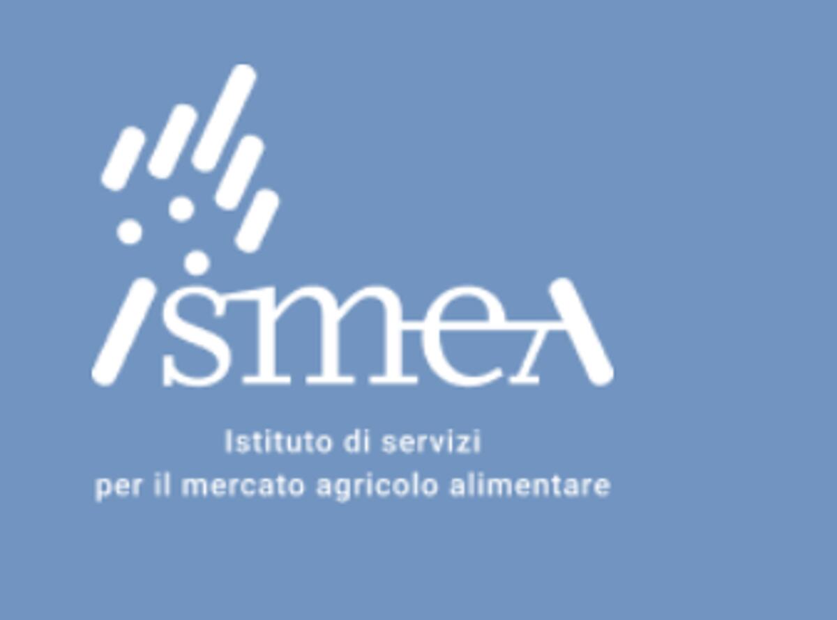 Ismea: bilancio 2025, ente solido e utile in crescita, approvati nuovi criteri Banca nazionale delle Terre Agricole - 