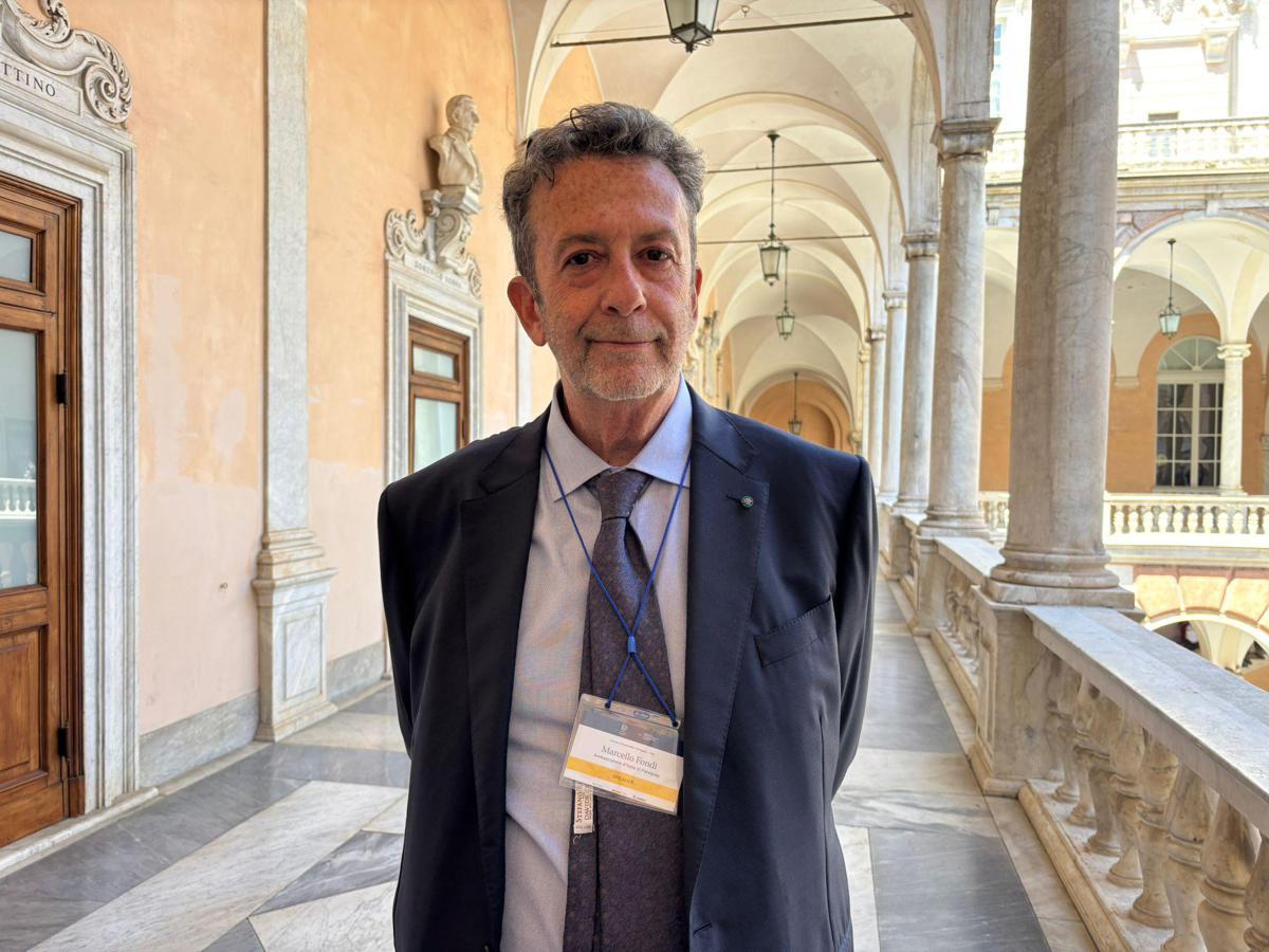 Paraguay, ambasciatore italiano: "Ottimo cliente per nostra industria manifatturiera" - 