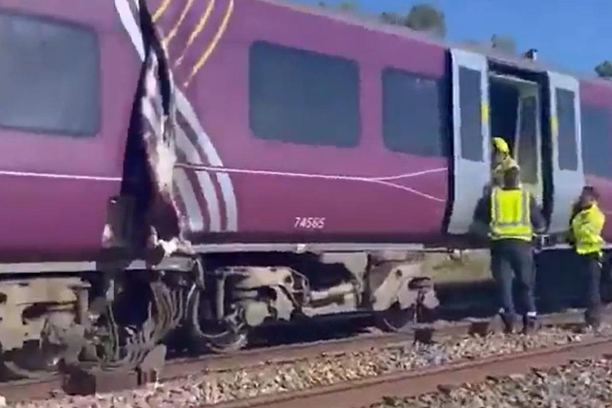 Scontro tra due treni a nord di Londra, soccorsi in azione: "Morto il macchinista, undici feriti gravi" - 