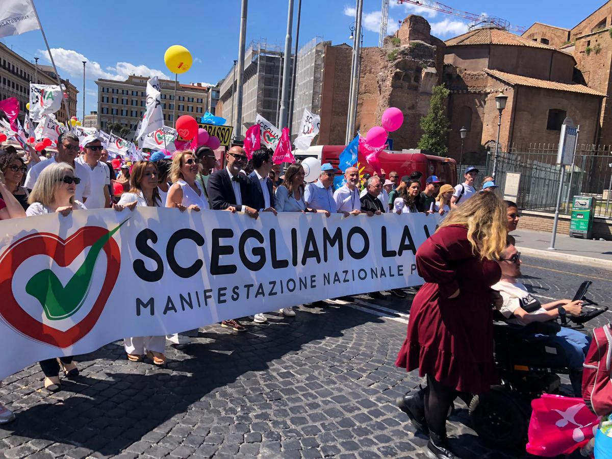 Pro vita, organizzatori corteo Roma: "Siamo 20 mila, stop ddl suicidio assistito e più fondi per diritto a non abortire" - 
