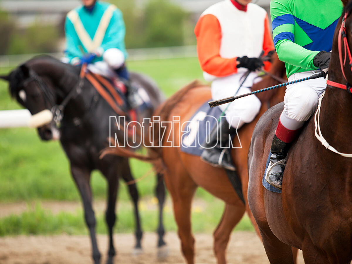 Catanzaro si prepara ai Campionati Regionali di Salto Ostacoli 2026 - Foto: Redazione 