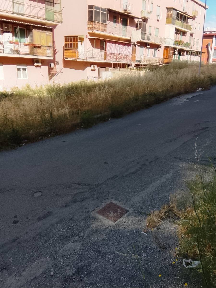 Via degli Aragonesi - Foto: Uff. Stampa Comitato Tufolo Farina 4.06.2026
