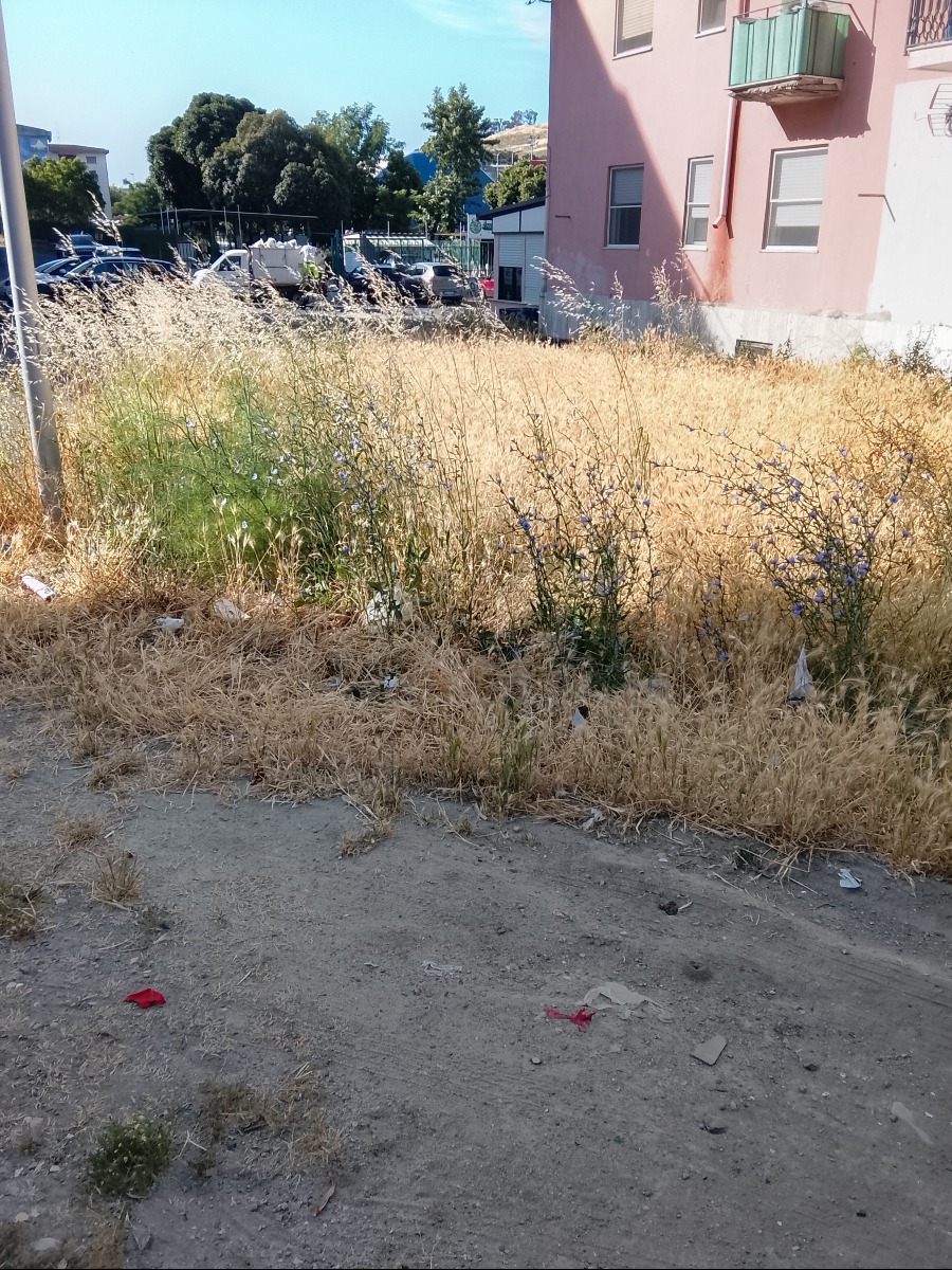 Via degli Aragonesi - Foto: Uff. Stampa Comitato Tufolo Farina 4.06.2026
