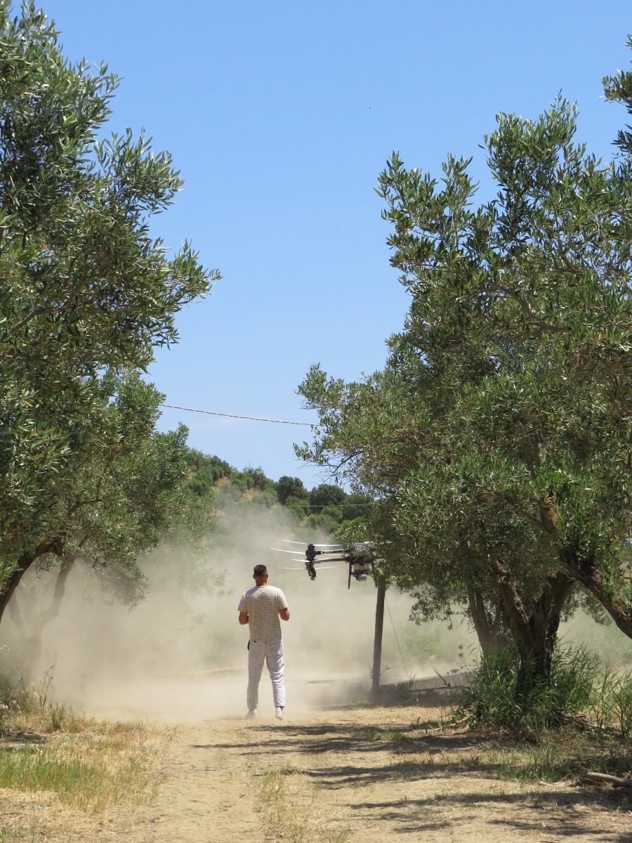 Smart Farming Day a Strongoli - La Tenuta del Principe 