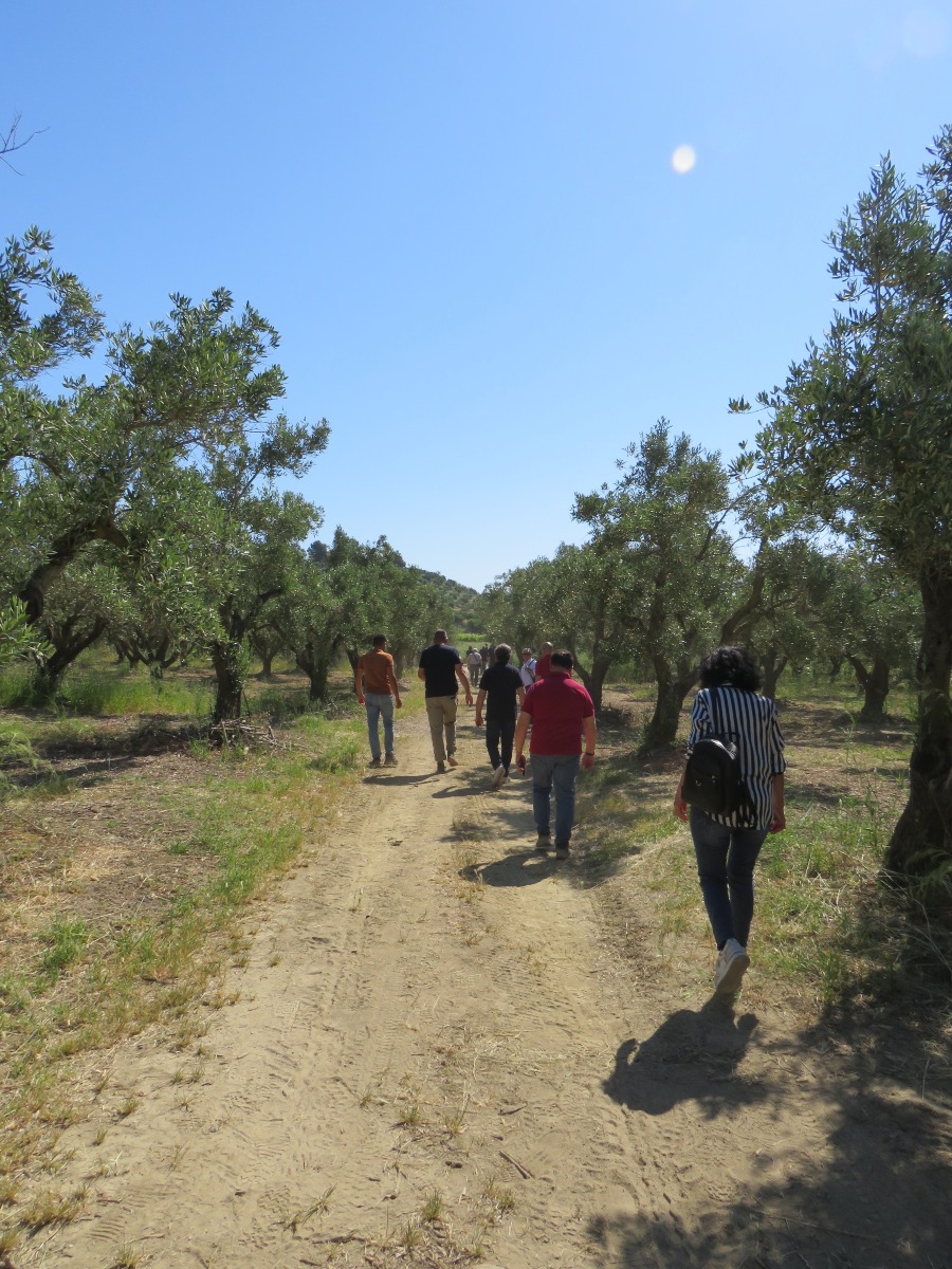 Smart Farming Day a Strongoli - La Tenuta del Principe 