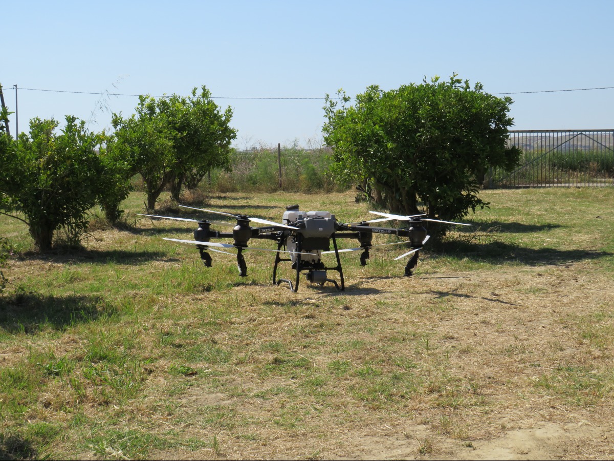 Smart Farming Day a Strongoli - La Tenuta del Principe 