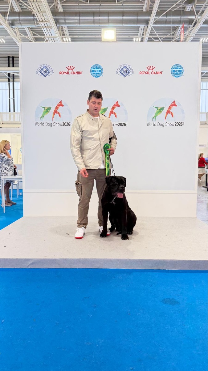Cane Gressa - Foto Uff. Stampa World Dog Show 2026 (6 giugno 2026)