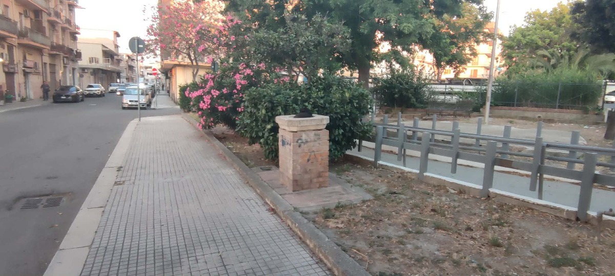 Corso Mazzini - Gatto nella fontana (Redazione - 08.06.2026)
