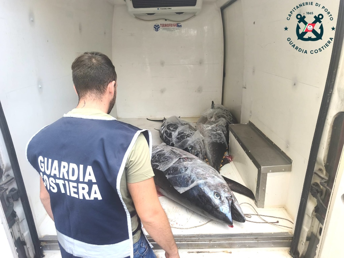 Sequesto Guardia Costiera - Foto Uff. Stampa Capitaneria di Porto Crotone 20.06.2026