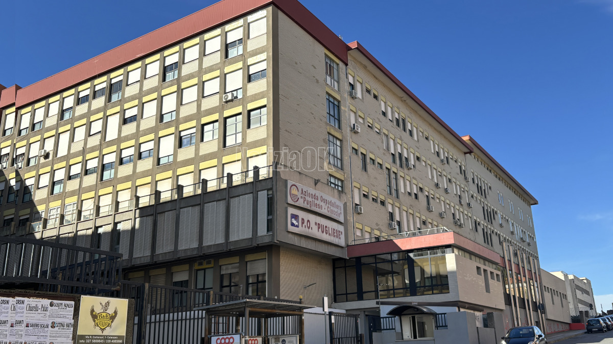 Catanzaro, Scarpino, Veraldi e Laudadio: "Il nuovo ospedale parta dal Pugliese" - Foto: Redazione 