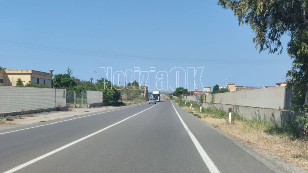 Dibattito pubblico S.S. 106 della Magna Grecia, Calabrese: “Un’infrastruttura necessaria" - Foto: Redazione 