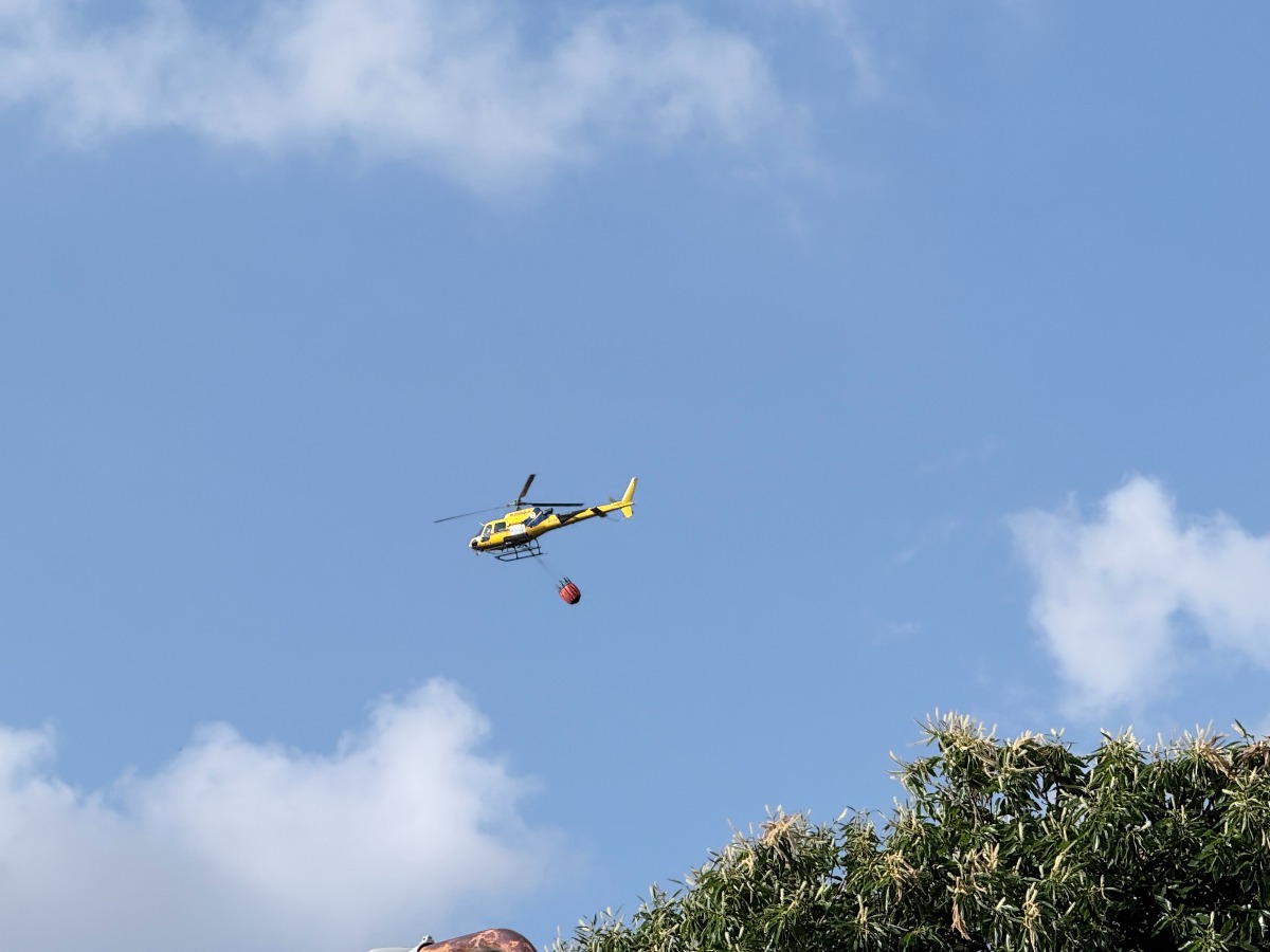 Due vasti incendi a Petronà, in azione tre Canadair e un elicottero - 