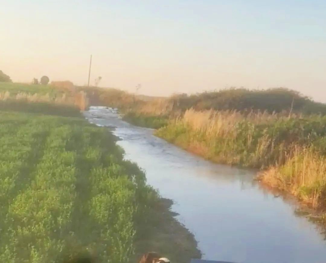 Rottura di una condotta irrigua a Le Castella: c'è la rassicurazione del Comune - Foto: Uff. Stampa Comune di Isola di Capo Rizzuto 