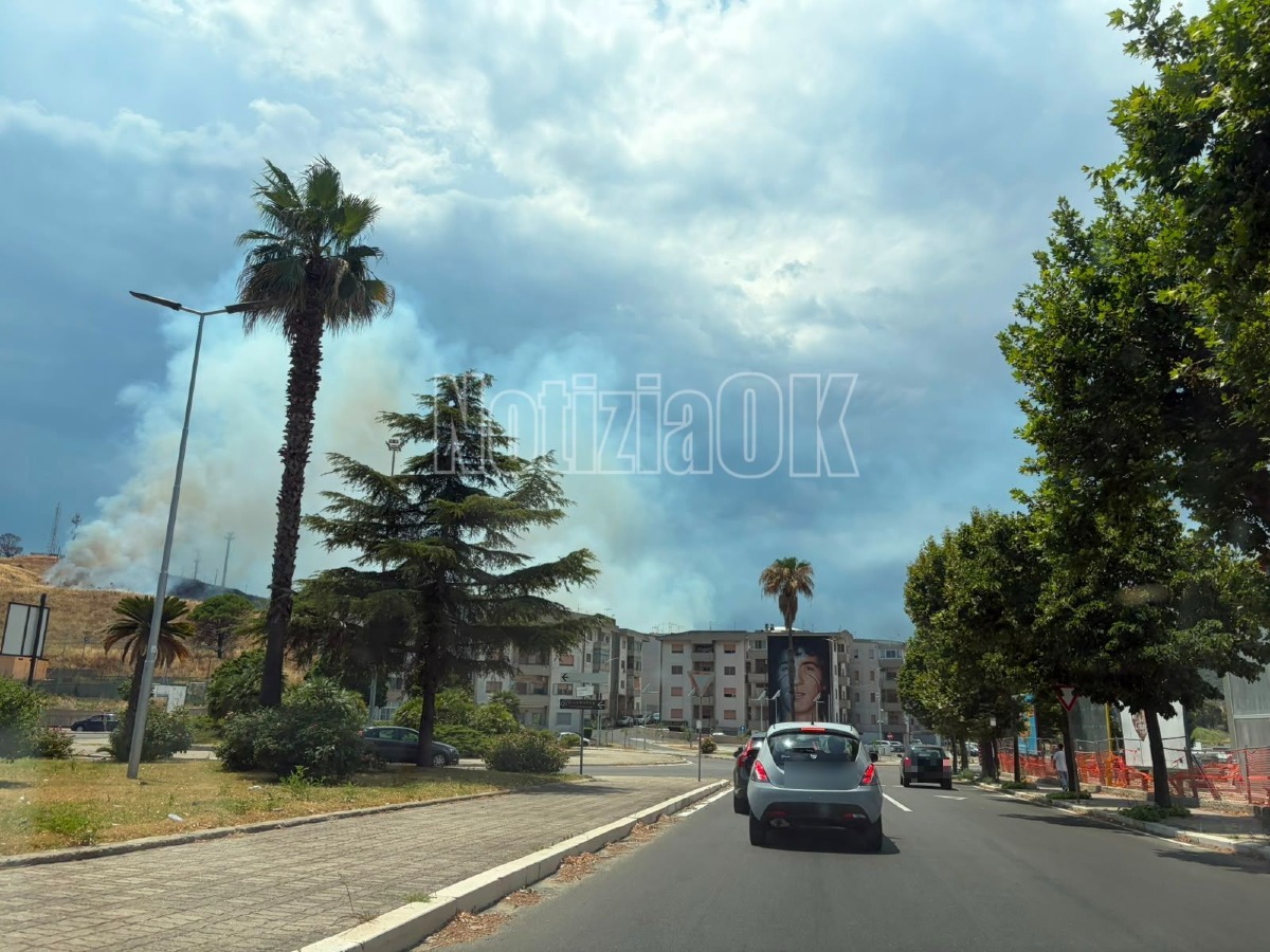 Crotone - Incendio tra le sterpaglie alle spalle dei 300 Alloggi, fiamme sulla collina  - Foto: Redazione 