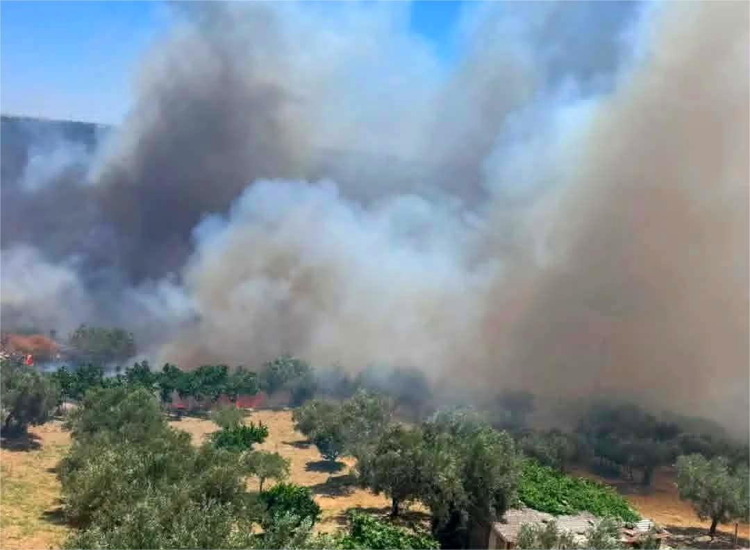 Vasto Incendio a Papanice, fumo e fiamme invadono via Adda e la SP52 - Foto: Enrico Pedace
