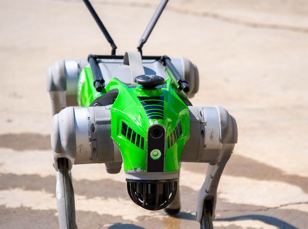 Agricoltura del futuro, a Rocca di Neto in campo droni e sensori IoT - Foto: Ufficio stampa ITS Pinta