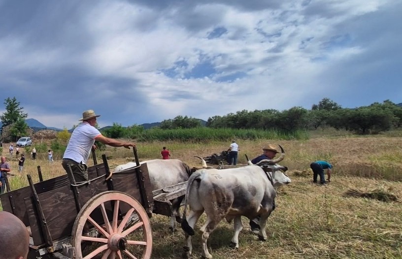 Cleto celebra il successo della quarta edizione della Festa del Grano - Foto: Uff. Stampa Comune di Cleto