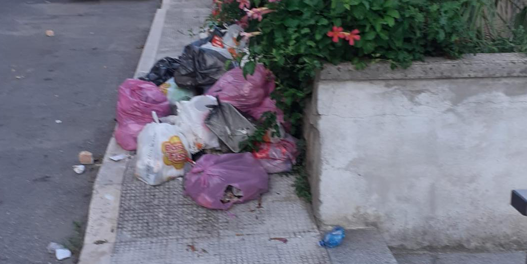  Polizia locale di Catanzaro, tolleranza zero e sanzioni contro l'abbandono dei rifiuti - Foto: Uff. Stampa Polizia Locale di Catanzaro