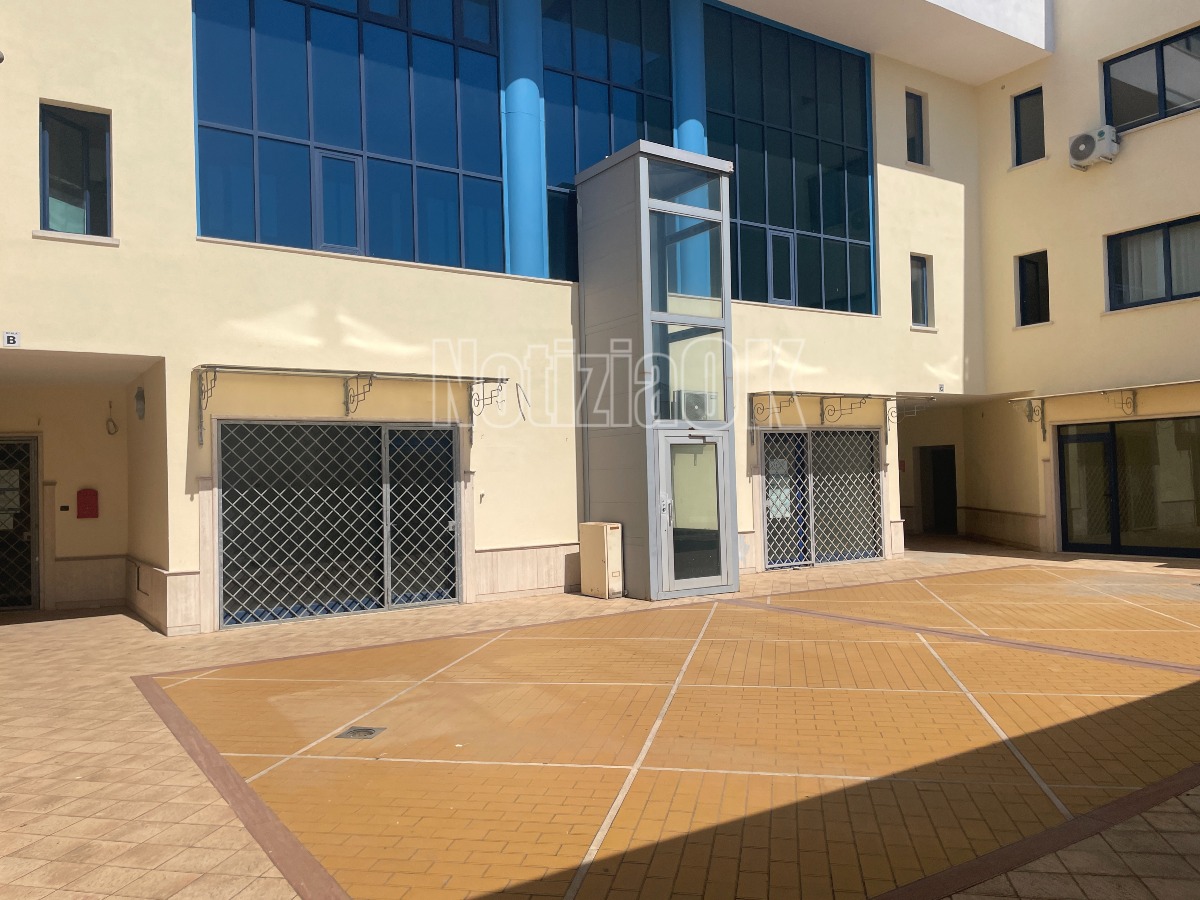 I Talassemici di Crotone scrivono a Occhiuto: «Ripristinare l'eritroexchange» - Foto: Redazione 