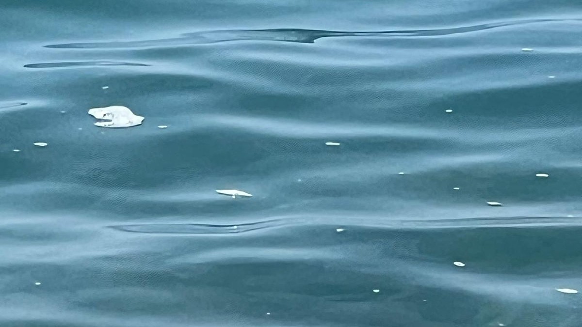 Caulonia rassicura: "Nessuno scarico fognario in mare". Le chiazze sono dovute alla mucillagine - Foto: Uff. Stampa Comune di Caulonia 