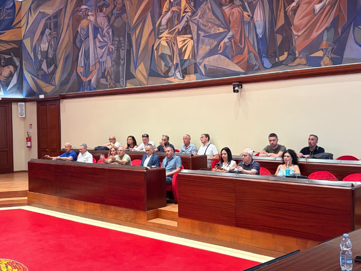 Arbovirosi, vertice dei sindaci nel Catanzarese: disinfestazioni coordinate e gara unica per tutti i Comuni - Foto Uff. stampa Comune di Catanzaro 