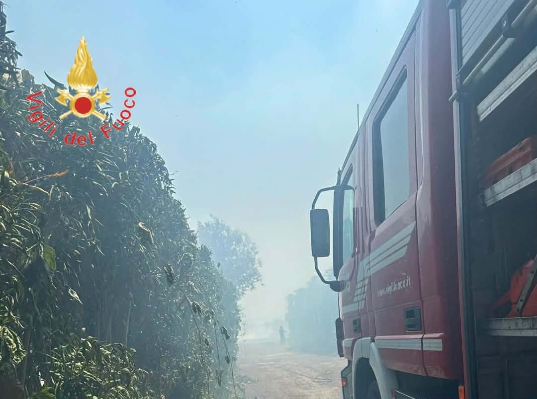 Lamezia Terme, vasto incendio lungo la S.S. 18 - Foto: Uff. Stampa Comando dei Vigili del Fuoco di Catanzaro
