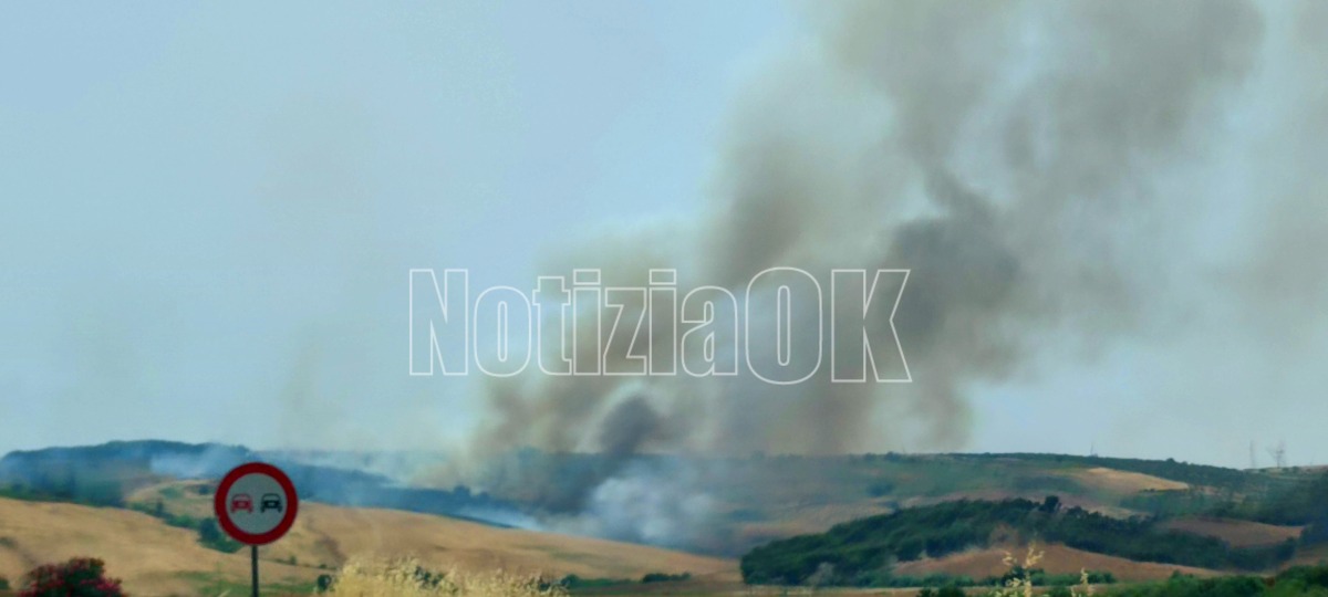Vasto incendio in località Sant'Anna: fumo anche sulla S.S. 106 - Foto: Redazione 