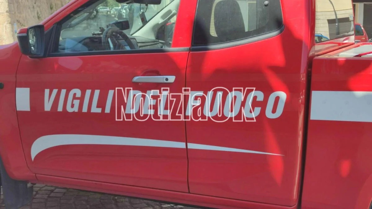 Grosso incendio nel Cosentino: chiusa la A2 tra Morano Calabro e Frascineto - Foto: Redazione 