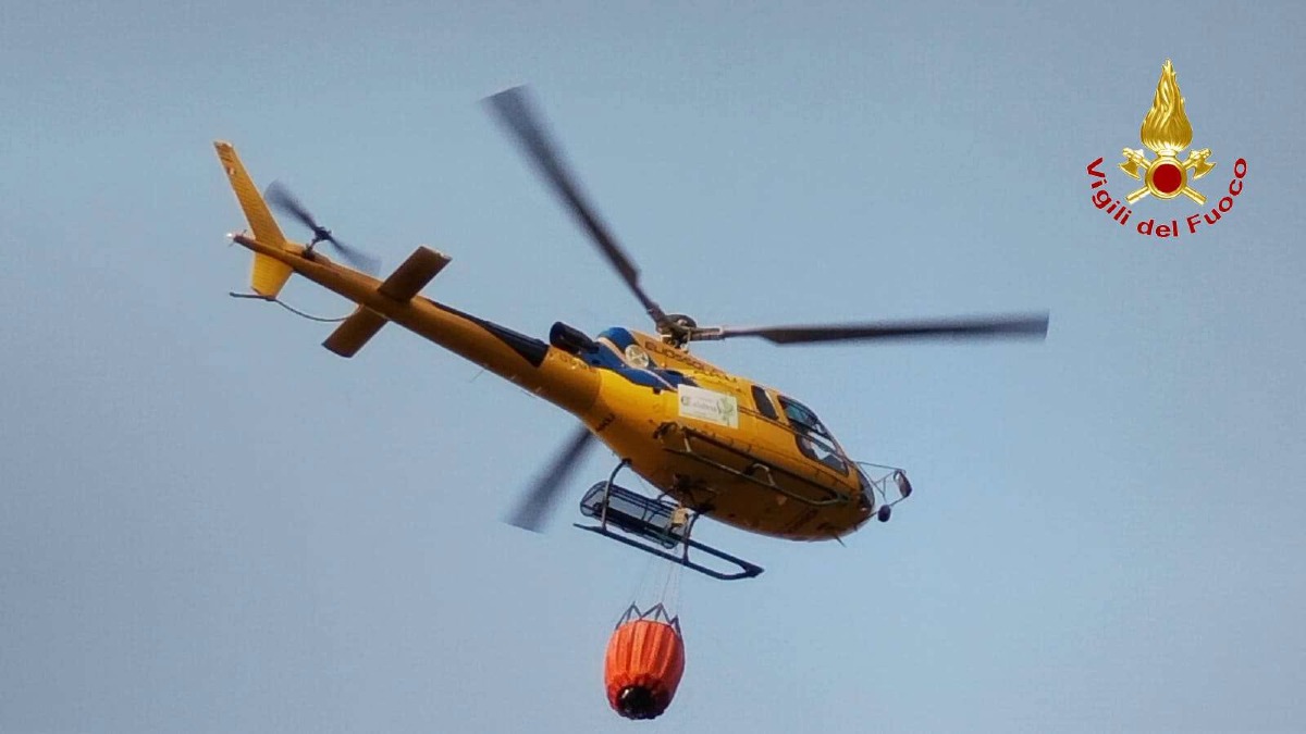Emergenza incendi nel Vibonese: trenta interventi dei Vigili del fuoco in 12 ore - Foto: Uff. Stampa Comando dei Vigili del Fuoco di Vibo Valentia