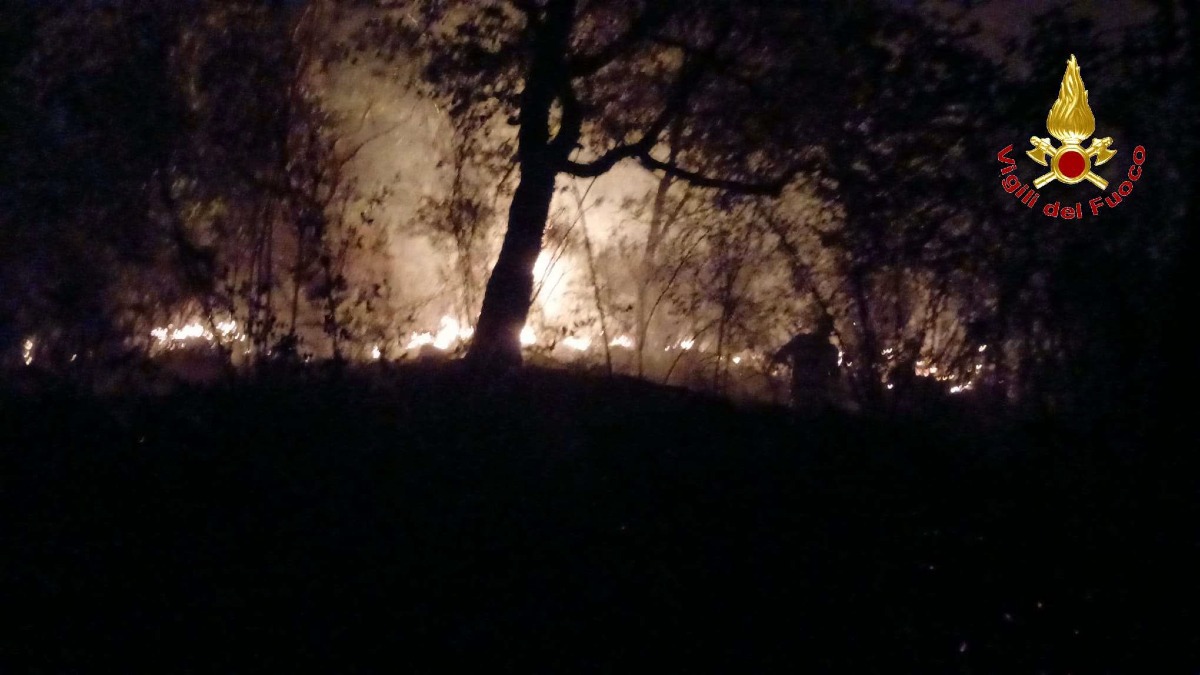 Incendi nel Vibonese, oltre 40 interventi dei Vigili del Fuoco nelle ultime ore - Foto: Uff. Stampa Comando dei Vigili del Fuoco 