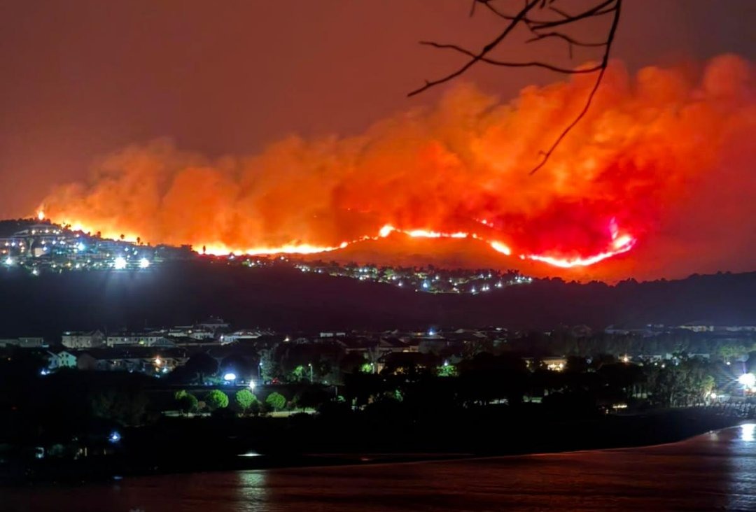Incendio di vegetazione in Calabria: fiamme minacciano abitazioni, evitato il peggio - Foto: Uff. Stampa Comando dei Vigili del Fuoco di Catanzaro