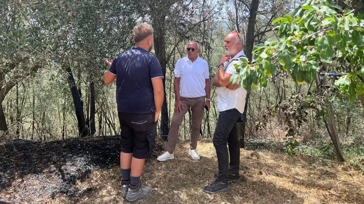 Cosenza, il sindaco Franz Caruso visita contrada Diodato dopo l'incendio - Foto Uff. Stampa Comune di Cosenza 