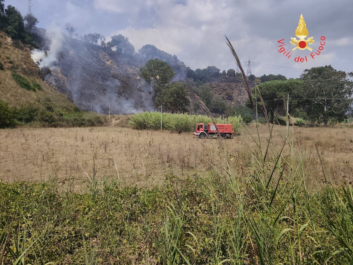 Incendio boschivo a Pianopoli, fiamme domate in meno di due ore - Foto: Uff. Stampa Comando dei Vigili del Fuoco di Catanzaro 