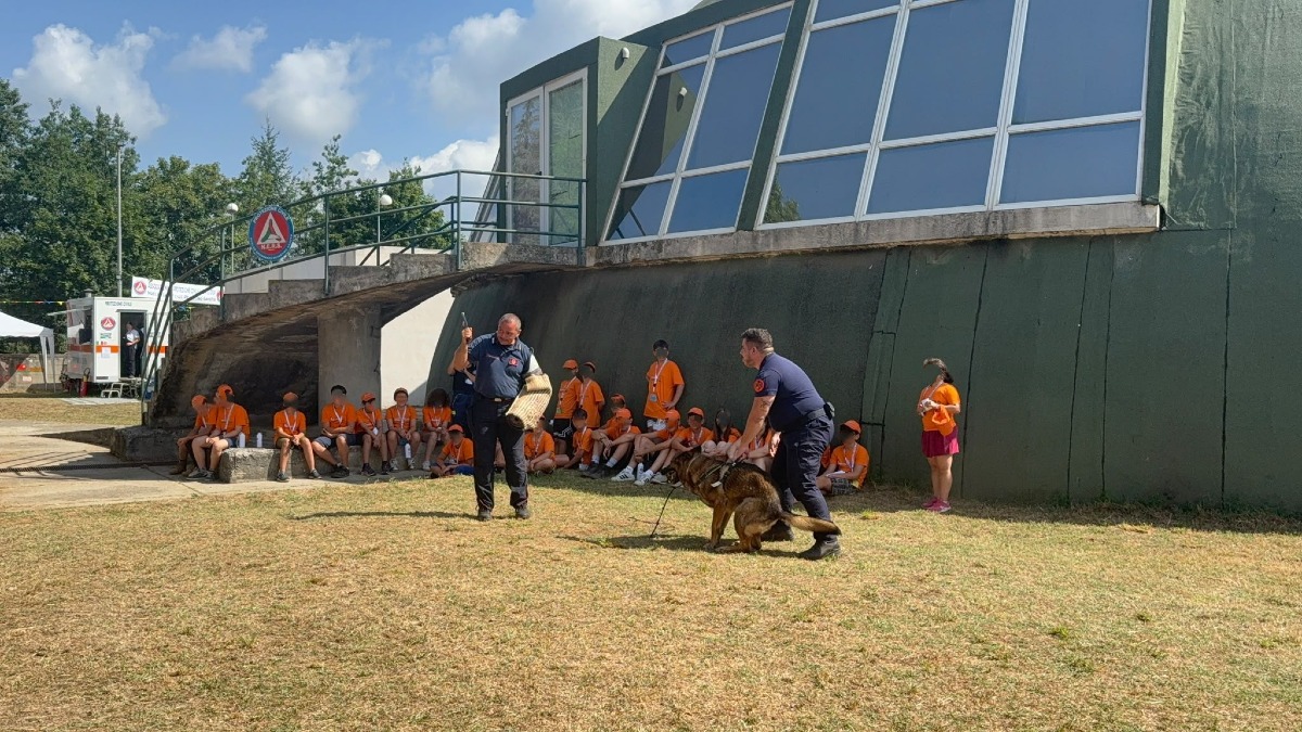 Legalità e Protezione Civile, i Carabinieri incontrano i ragazzi del campo scuola di Decollatura - Foto Uff. Stampa Carabinieri 