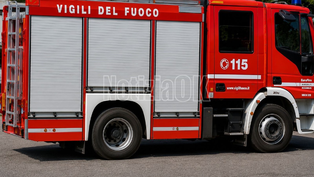 Incendio nella zona nord di Crotone, attivato il Centro Operativo Comunale - Foto: Redazione 