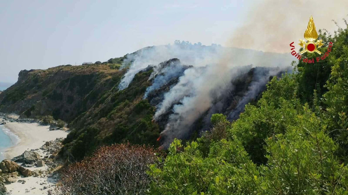 Incendio in Calabria, Vigili del Fuoco al lavoro: domate le fiamme vicino alla stazione ferroviaria - Foto: Uff. Stampa Comando dei Vigili del Fuoco di Catanzaro