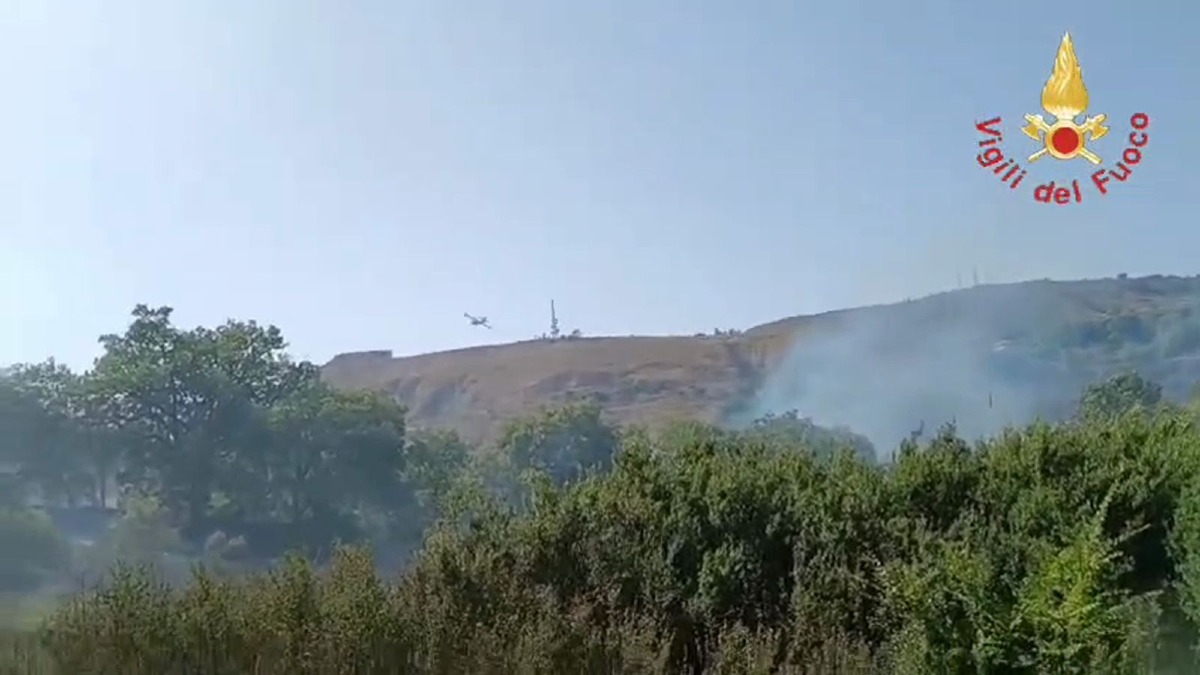 Cirò devastata dagli incendi: quasi 500 ettari in fumo, il sindaco Sculco: «Una ferita profonda» - Foto Uff. Stampa Comune di Cirò 