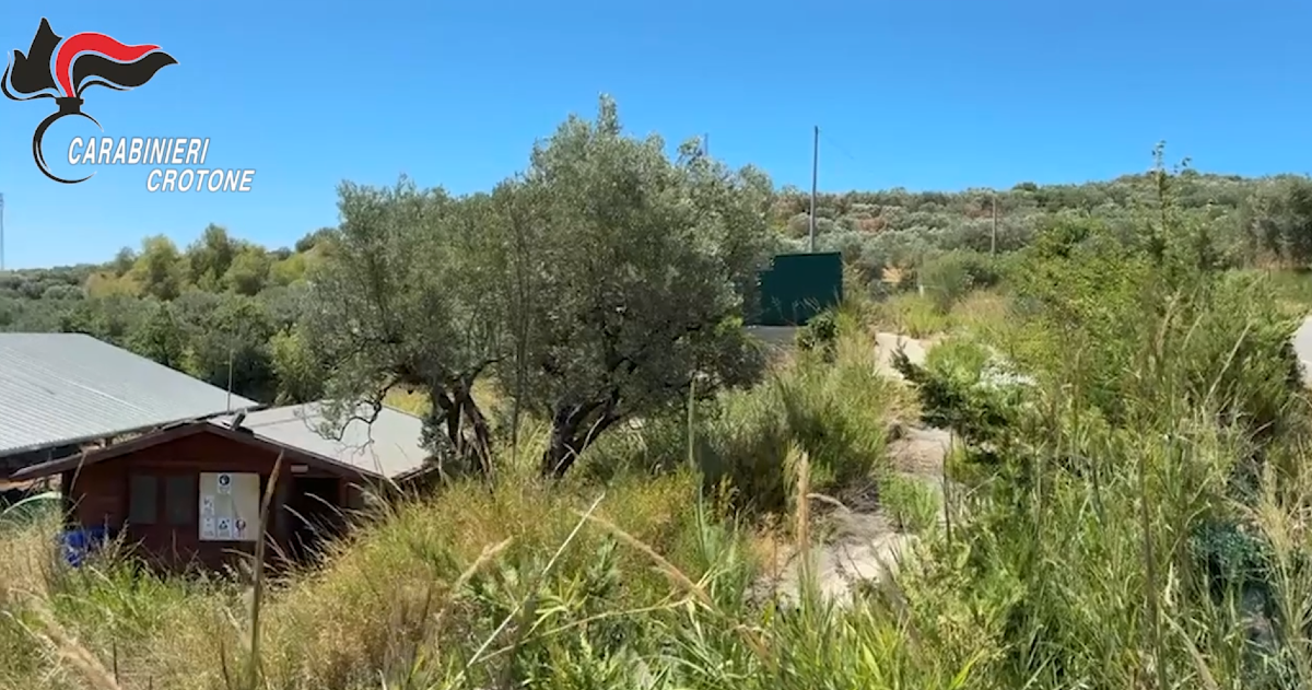 Rifiuti a Cotronei, cinque avvisi per reati ambientali e corruzione - Foto: Ufficio stampa Carabinieri di Crotone