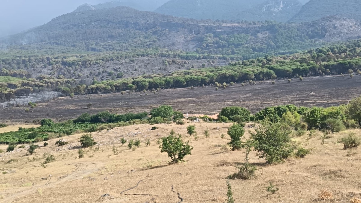 Siccità e incendi, Coldiretti Calabria lancia l’allarme: “Agricoltori e allevatori non possono essere lasciati soli” - Foto: Uff. Stampa Coldiretti Calabria