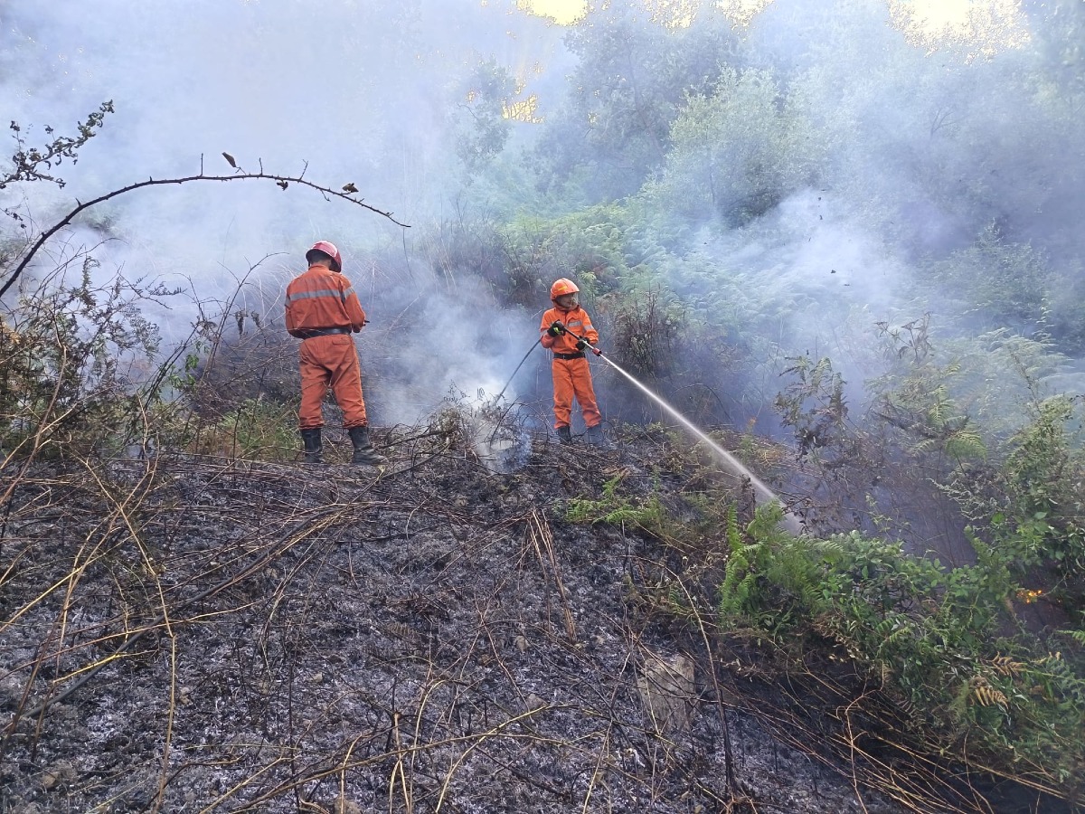 Tiriolo, incendio domato grazie al rapido intervento dei volontari dei Diavoli Rossi - Foto Uff. Stampa Comune di Tiriolo 