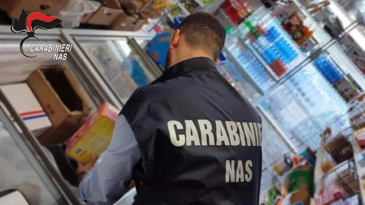 Maxi sequestro in un supermercato del Soveratese: oltre 520 chili di alimenti non idonei -  Foto Uff. Stampa Carabinieri 