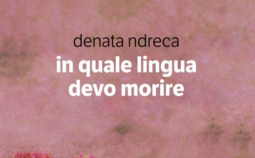 Vaccarizzo Albanese - Denata Ndreca ospite del Salotto Diffuso - Foto: Copertina libro Dena Ndreca