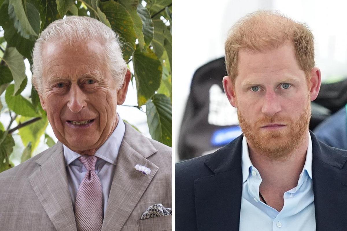 Gran Bretagna, sudditi felici per incontro fra Re Carlo e Harry: popolarità in crescita - 