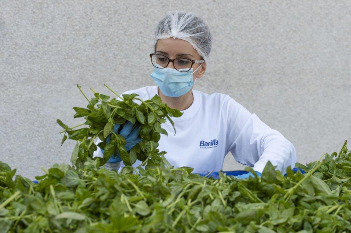 Barilla, fino a 650.000 analisi l'anno e 250 risorse dedicate per la sicurezza nel piatto - 