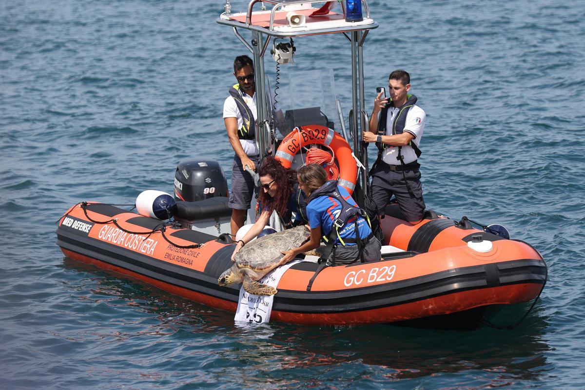 A Marina di Ravenna torna la 'Festa della cozza' - 