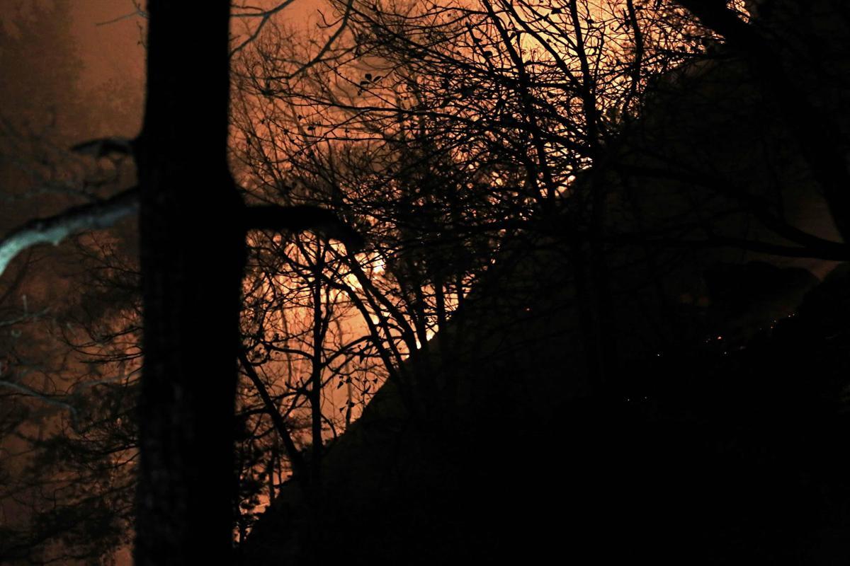 Incendi, Vigili del fuoco al lavoro dal Piemonte al Sud: "Bruciati +15% ettari rispetto a scorso anno" - 