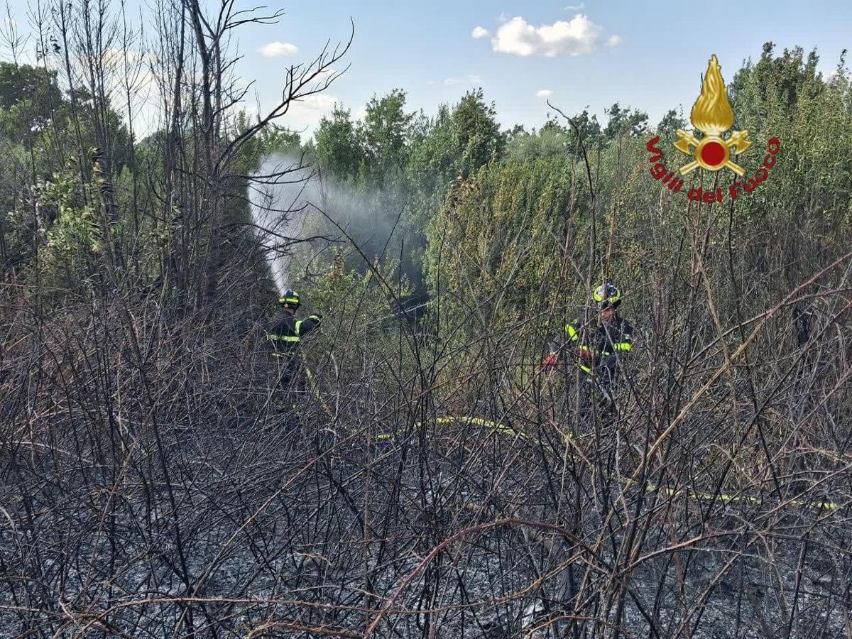 Roma, da via Pineta Sacchetti a Cinecittà: diversi incendi nella Capitale e dintorni - 