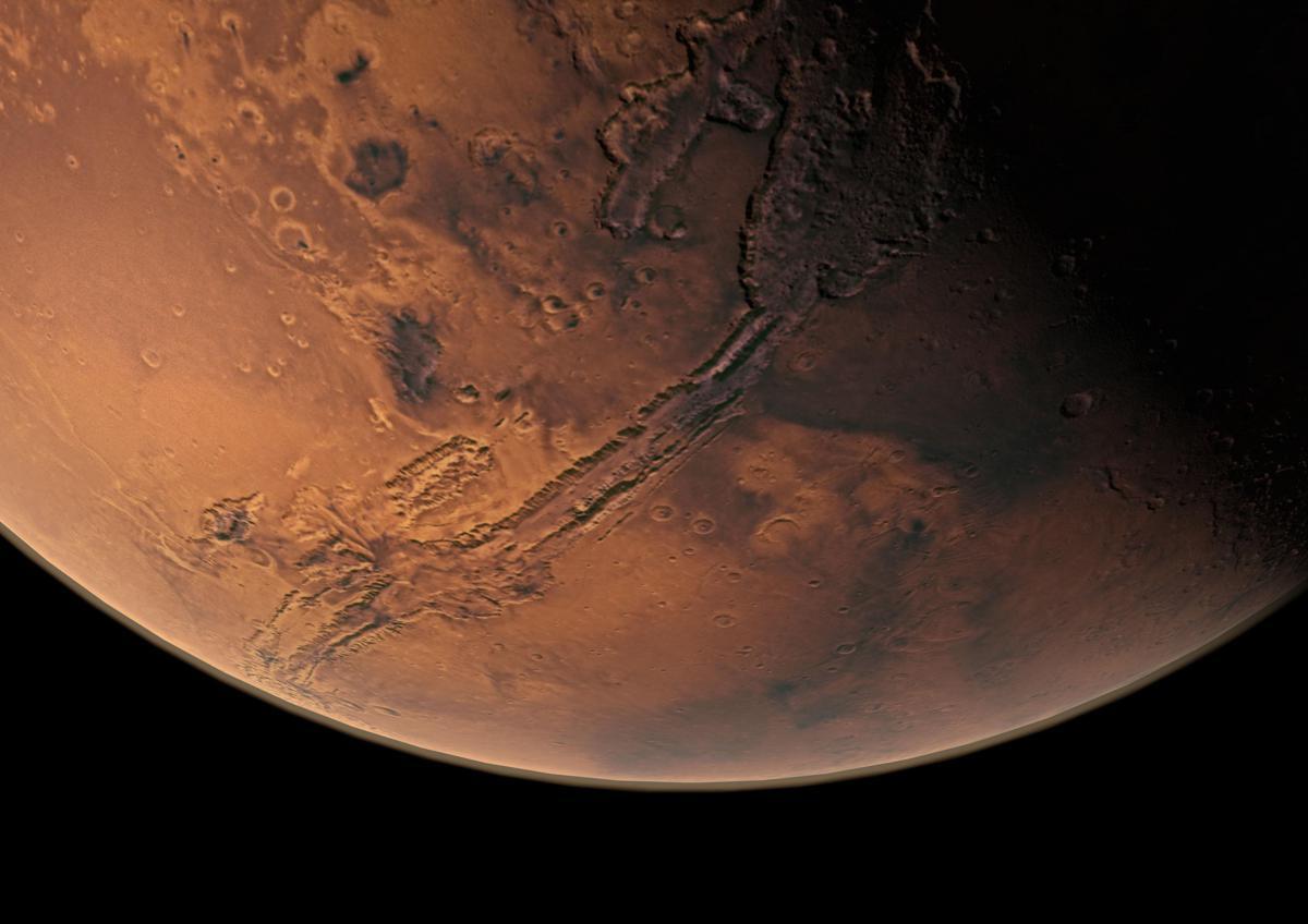 Tutti i segreti nella dieta degli astronauti, un'alga dalla Sardegna per conquistare Marte - 