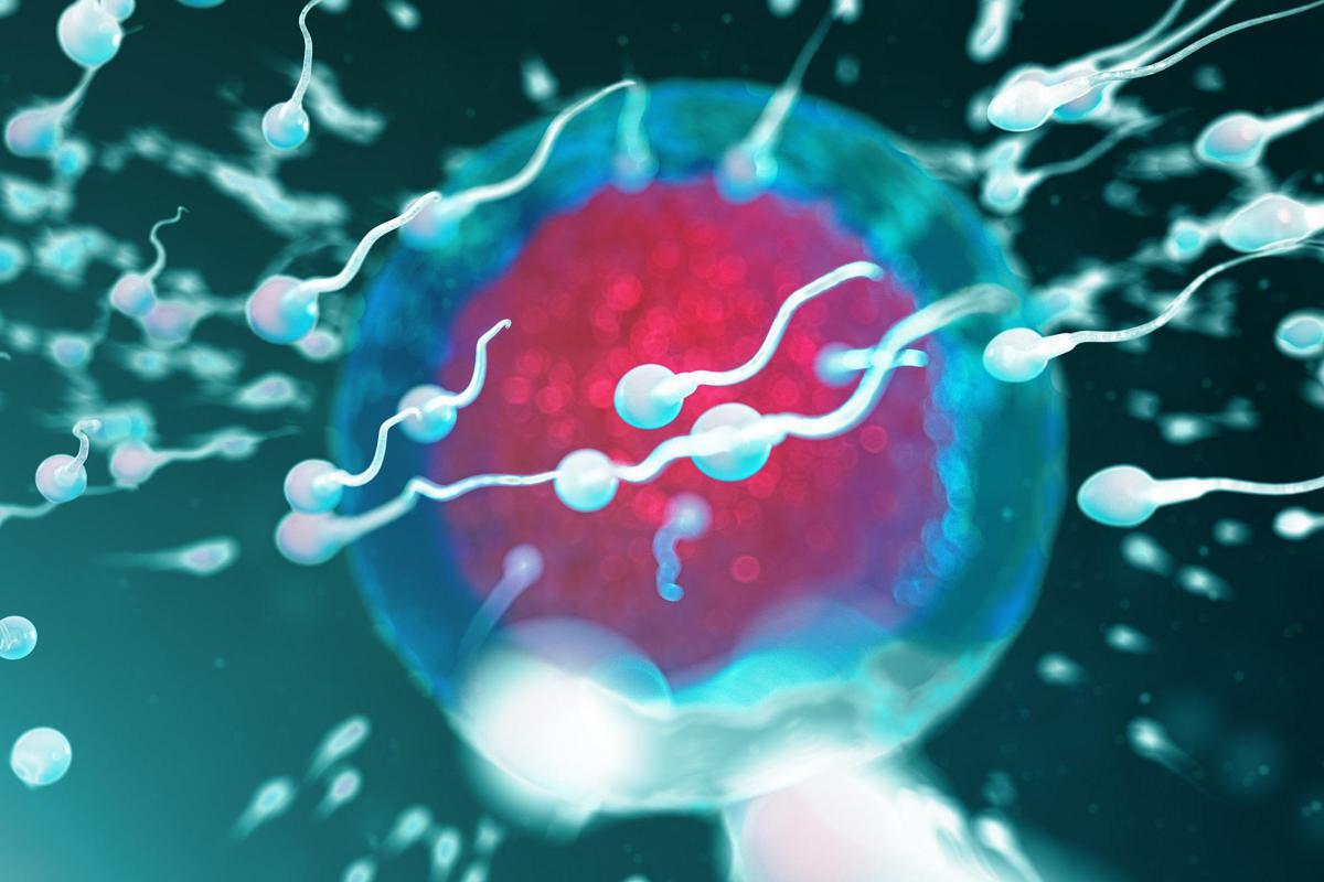 Fertilità, dove vive lui conta: regione di residenza e smog incidono su qualità sperma - 